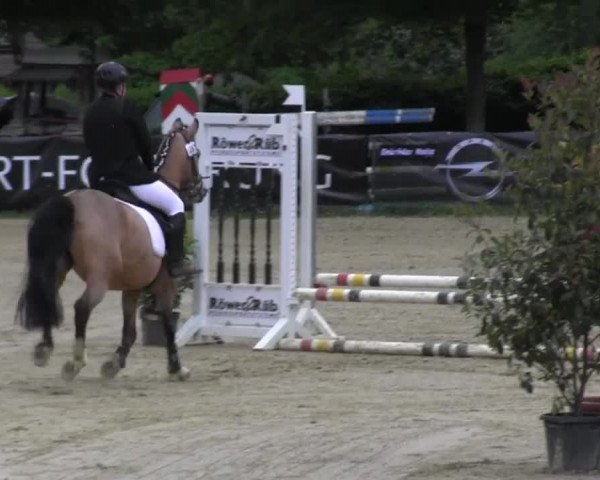 Reitturnier Iserlohn-Kalthof 2016