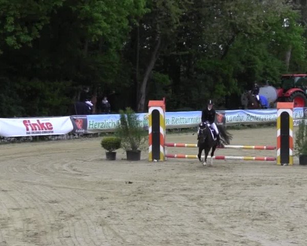 Reitturnier Iserlohn-Kalthof 2016