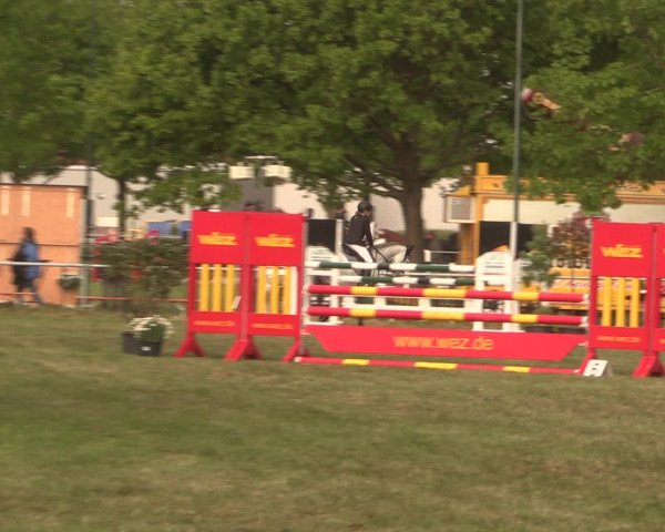 Reitturnier Kreuzkrug 2016