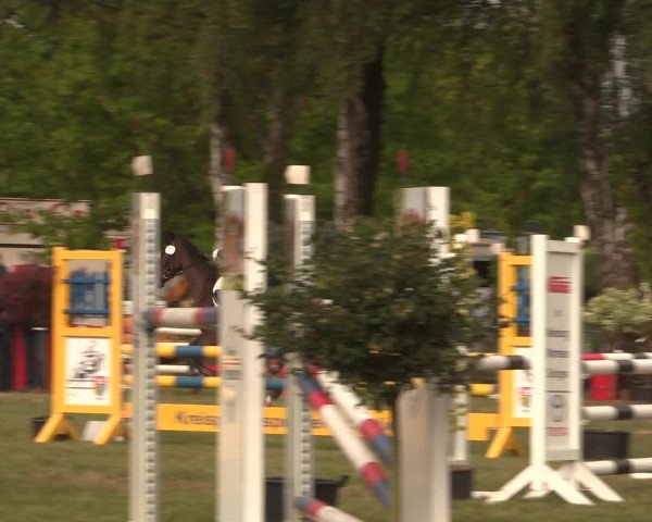 Reitturnier Kreuzkrug 2016