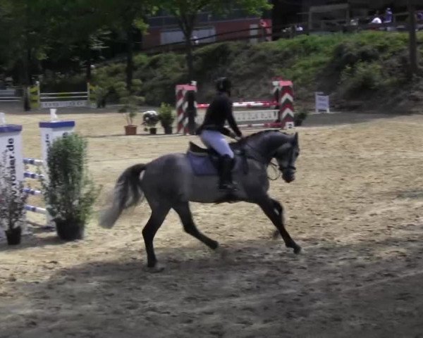 Reitturnier Iserlohn-Kalthof 2016