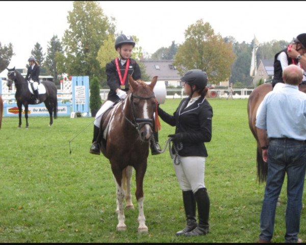 horse Susi (German Riding Pony, 1997, from Troll)