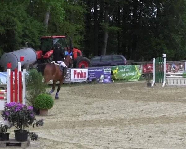 Reitturnier Iserlohn-Kalthof 2016