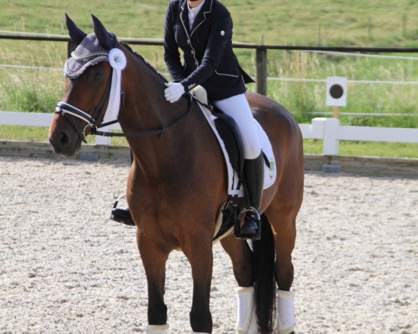 dressage horse Carlos L 5 (Hanoverian, 2012, from Conen)