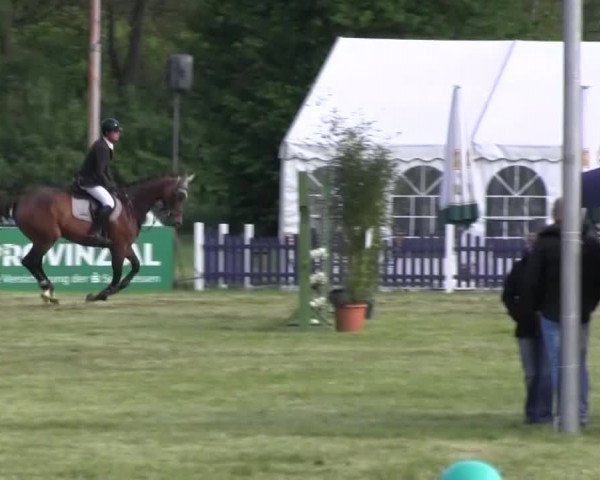 Reitturnier Borken 2016