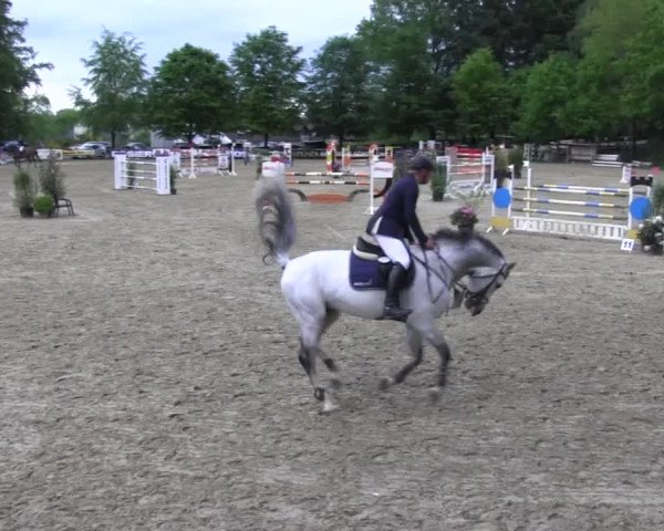Reitturnier Iserlohn-Kalthof 2016