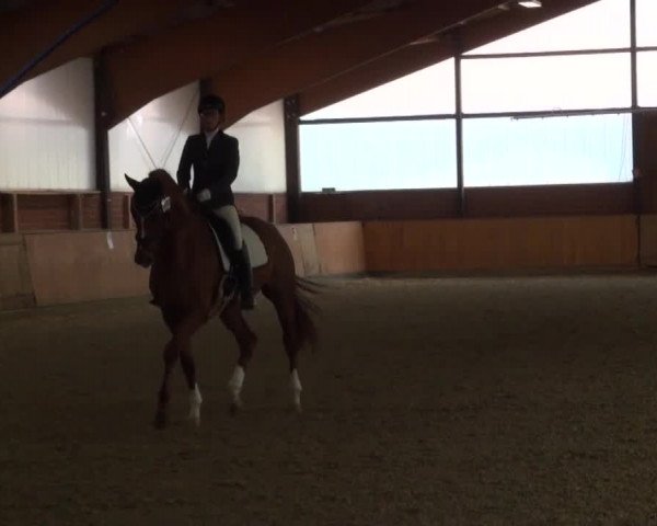 Reitturnier Iserlohn-Kalthof 2016