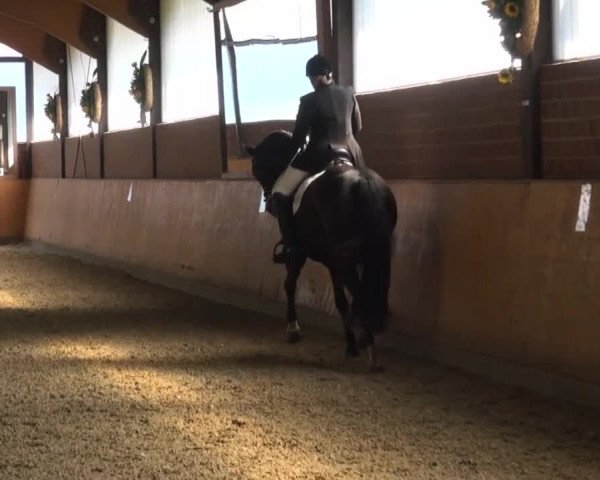 Reitturnier Iserlohn-Kalthof 2016
