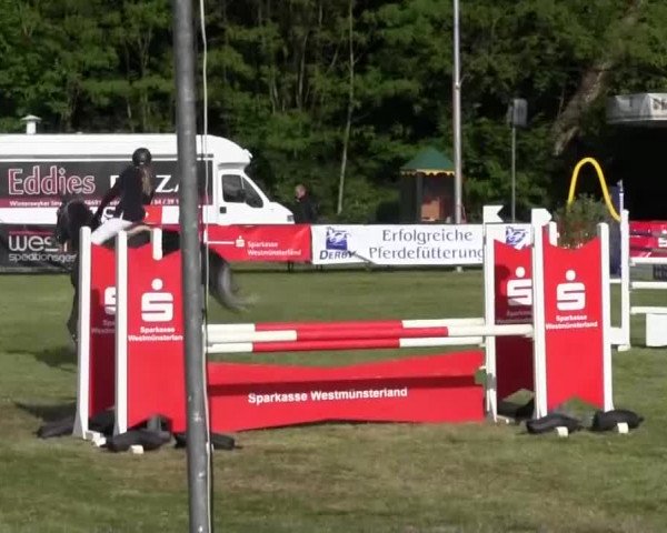 Reitturnier Borken 2016