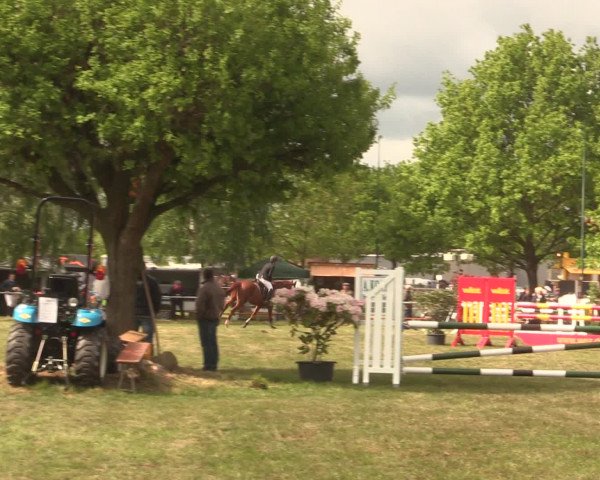 Reitturnier Kreuzkrug 2016