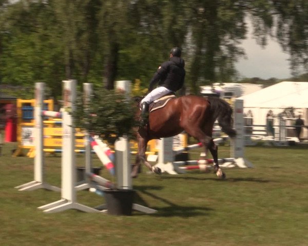 Reitturnier Kreuzkrug 2016