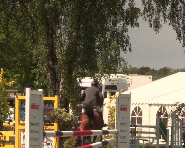 Reitturnier Kreuzkrug 2016