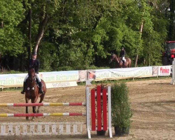Reitturnier Iserlohn-Kalthof 2016