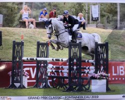 broodmare Hetocinthe VDL (KWPN (Royal Dutch Sporthorse), 2012, from Corland)