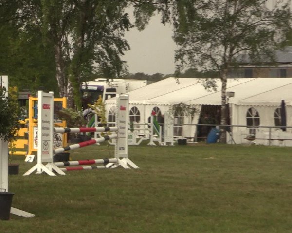 Reitturnier Kreuzkrug 2016