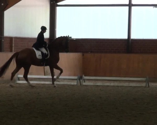 Reitturnier Iserlohn-Kalthof 2016