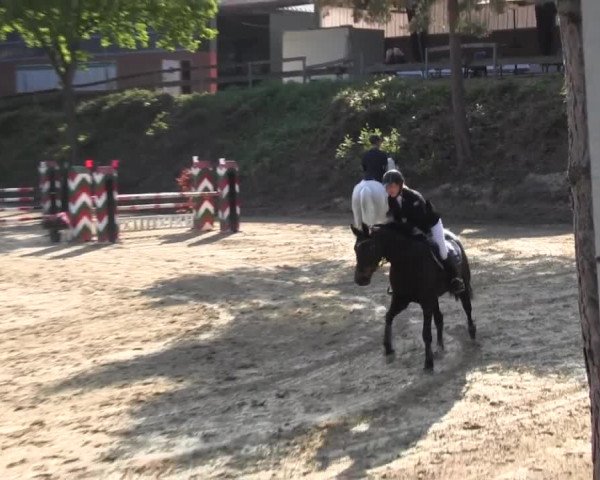 Reitturnier Iserlohn-Kalthof 2016