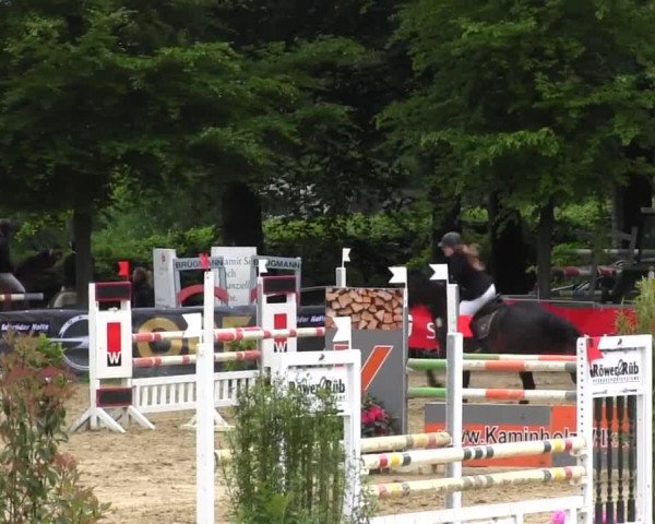 Reitturnier Iserlohn-Kalthof 2016