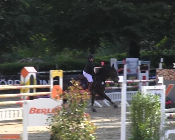 Reitturnier Iserlohn-Kalthof 2016