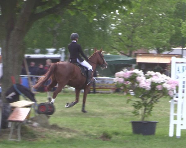 Reitturnier Kreuzkrug 2016