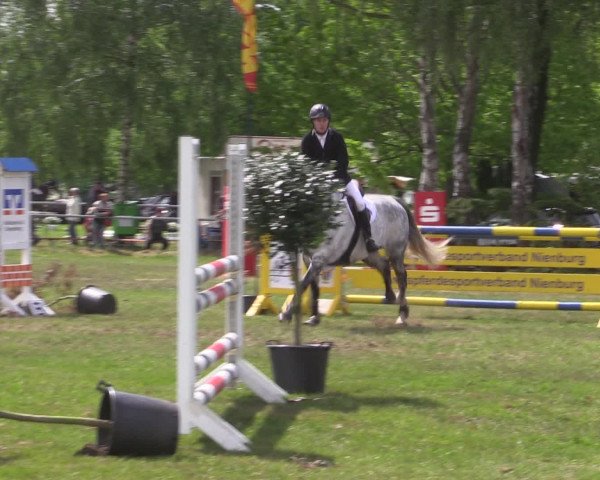 Reitturnier Kreuzkrug 2016