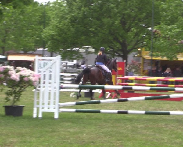 Reitturnier Kreuzkrug 2016
