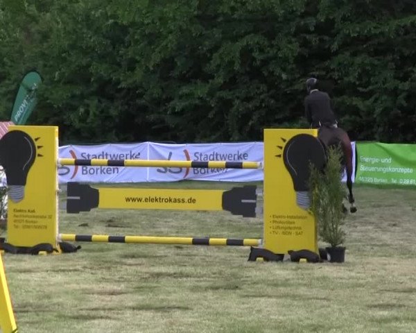 Reitturnier Borken 2016