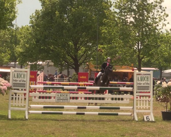 Reitturnier Kreuzkrug 2016