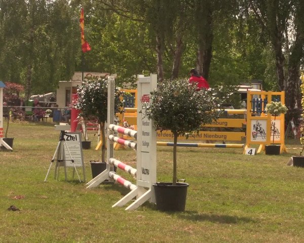 Reitturnier Kreuzkrug 2016