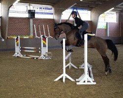 broodmare Call me Leilani (Westphalian, 2015, from Couleur Rouge)