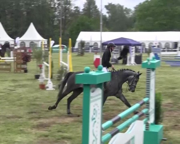 Reitturnier Borken 2016