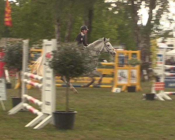 Reitturnier Kreuzkrug 2016