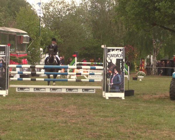 Reitturnier Kreuzkrug 2016