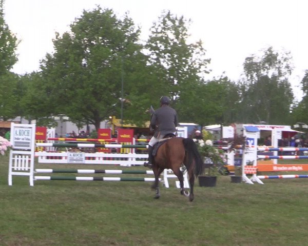 Reitturnier Kreuzkrug 2016