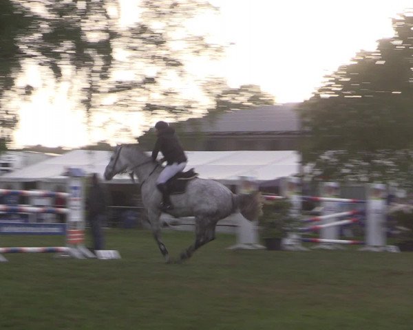 Reitturnier Kreuzkrug 2016