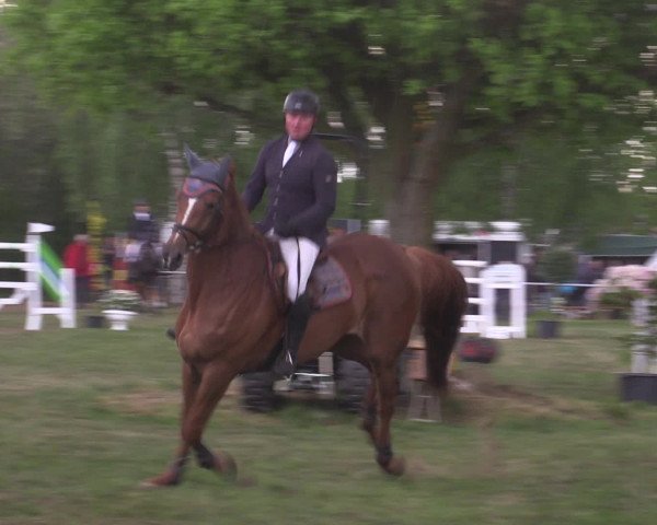 Reitturnier Kreuzkrug 2016