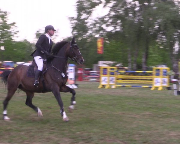 Reitturnier Kreuzkrug 2016