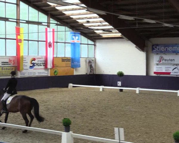 Reitturnier Borken 2016