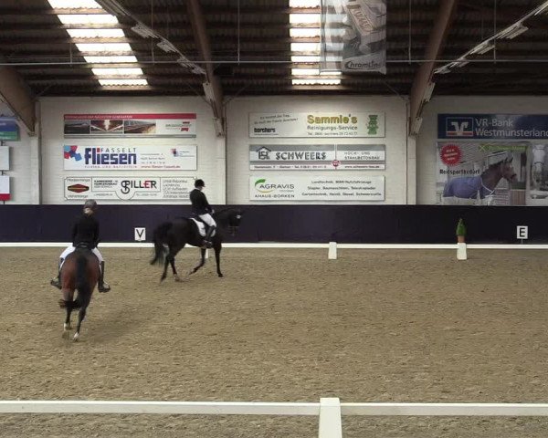 Reitturnier Borken 2016