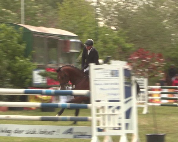 Reitturnier Kreuzkrug 2016