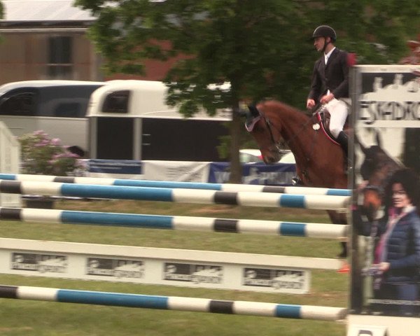 Reitturnier Kreuzkrug 2016