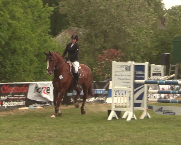 Reitturnier Kreuzkrug 2016