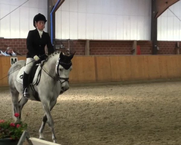 Reitturnier Iserlohn-Kalthof 2016
