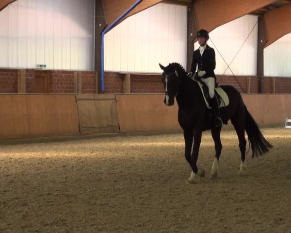Reitturnier Iserlohn-Kalthof 2016
