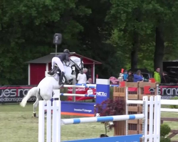 Reitturnier Borken 2016