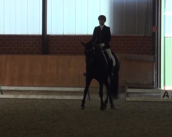 Reitturnier Iserlohn-Kalthof 2016