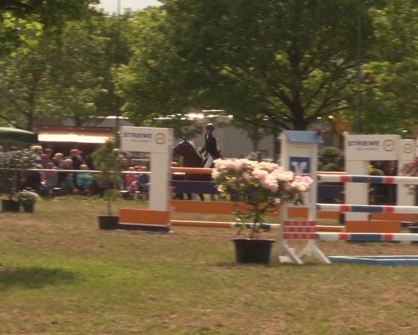 Reitturnier Kreuzkrug 2016
