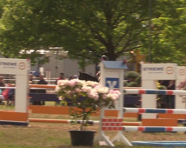 Reitturnier Kreuzkrug 2016