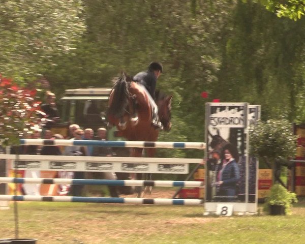 Reitturnier Kreuzkrug 2016