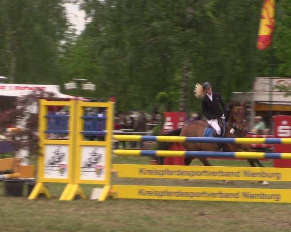 Reitturnier Kreuzkrug 2016